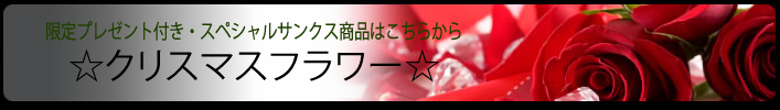 クリスマスフラワー