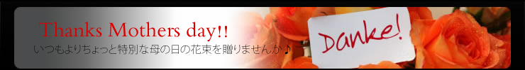 母の日の花束注文ページへ