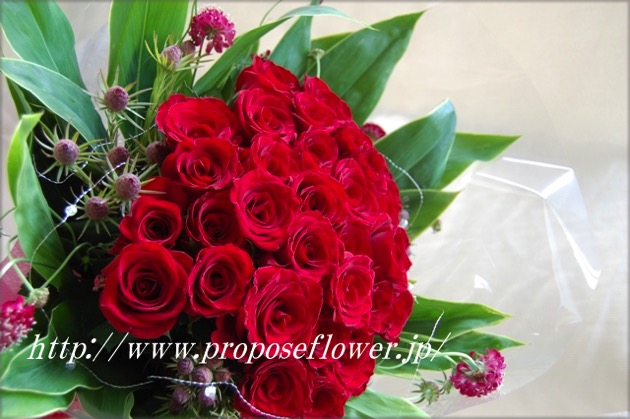 プロポーズのバラの花