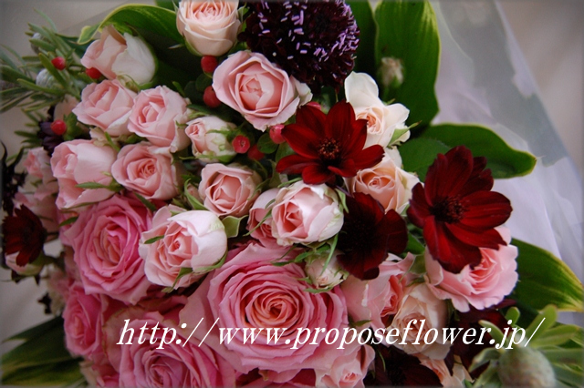 ストロベリーチョコレートコスモスの花束 ドイツマイスターの花束専門店 プロポーズフラワーショップ
