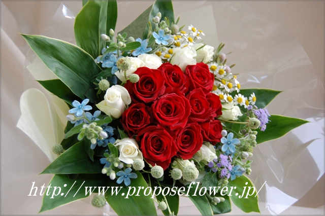 ブルースターと赤い薔薇の花束 ドイツマイスターの花束専門店 プロポーズフラワーショップ