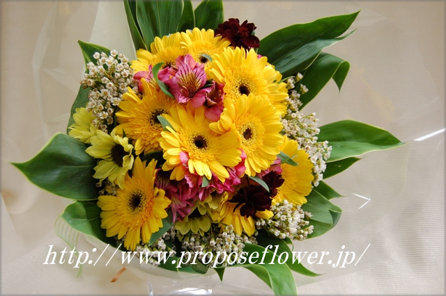黄色いガーベラの花束 ドイツマイスターの花束専門店 プロポーズフラワーショップ