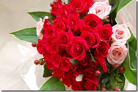 赤薔薇プロポーズ花束