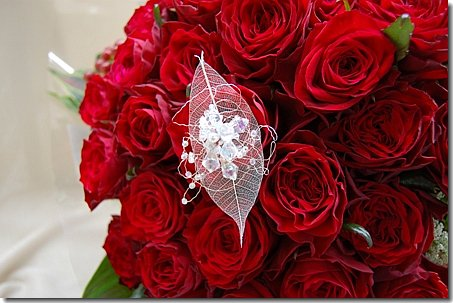 プロポーズ赤いバラ