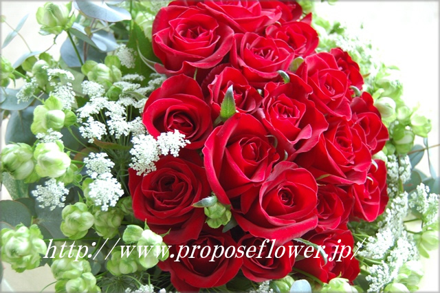 緑の薔薇と赤い薔薇の花束 ドイツマイスターの花束専門店 プロポーズフラワーショップ