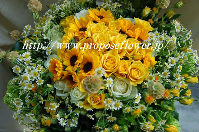 豪華なひまわりの花束 ドイツマイスターの花束専門店 プロポーズフラワーショップ
