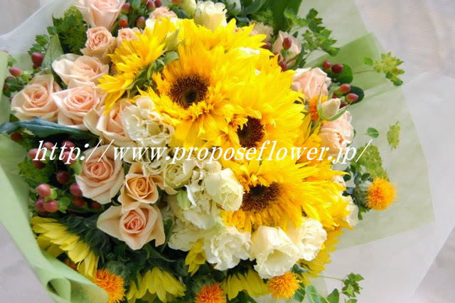 プロポーズな向日葵の花束 バラ ドイツマイスターの花束専門店 プロポーズフラワーショップ