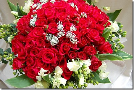 100本の赤い薔薇の花束 ドイツマイスターの花束専門店 プロポーズフラワーショップ