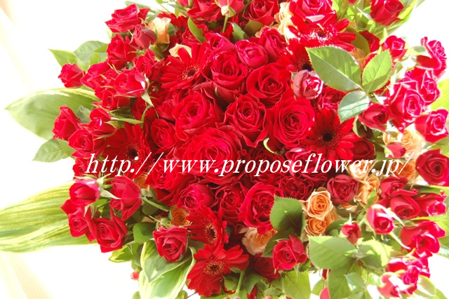 情熱の赤いバラの花束プロポーズ