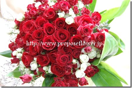 プロポーズの赤い薔薇