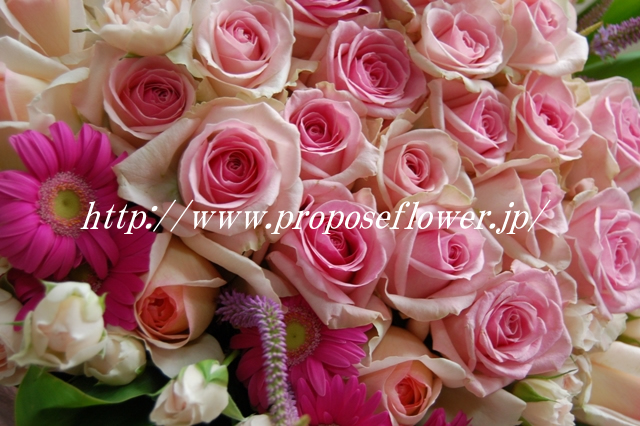 大人可愛いピンクのバラの花束 ドイツマイスターの花束専門店 プロポーズフラワーショップ