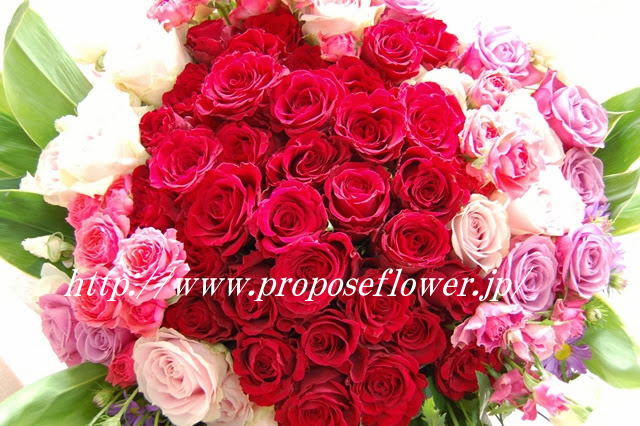 プロポーズバラ花束豪華