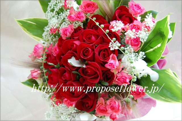 プロポーズ赤いバラ