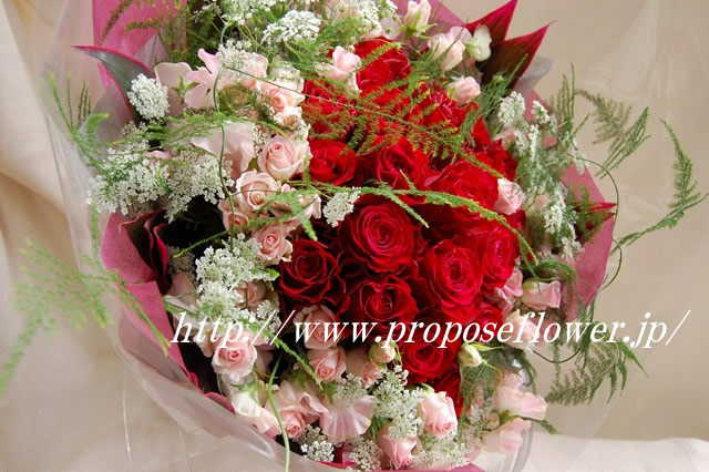 赤い薔薇プロポーズ花束