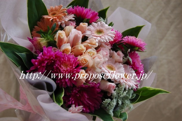 アスターとガーベラのキュートな花束 ドイツマイスターの花束専門店 プロポーズフラワーショップ