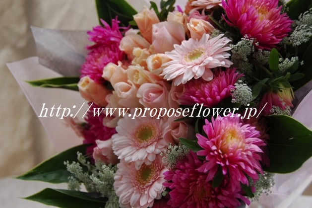 アスターとガーベラのキュートな花束 ドイツマイスターの花束専門店 プロポーズフラワーショップ