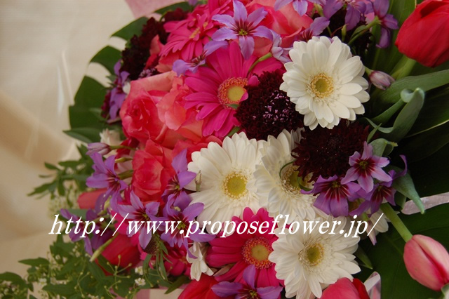 ショッキングピンクのガーベラとパープルミックス ドイツマイスターの花束専門店 プロポーズフラワーショップ