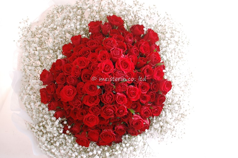 赤バラ１０８本とかすみ草の花束でプロポーズ
