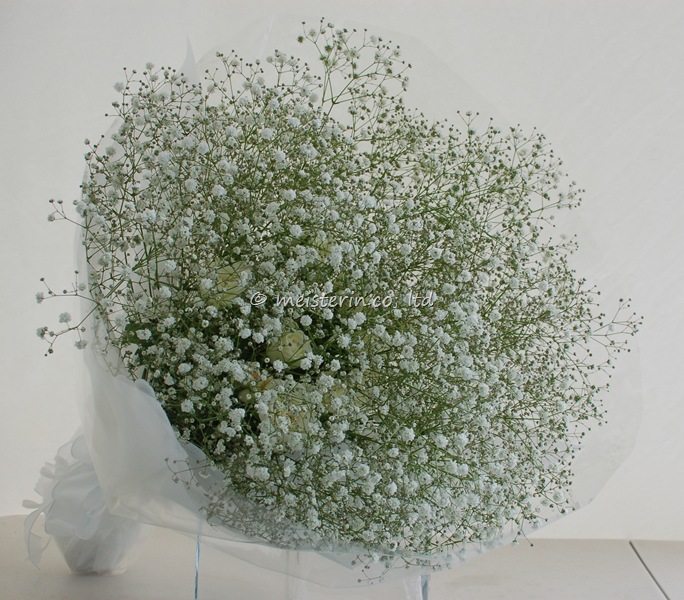 かすみ草の花束