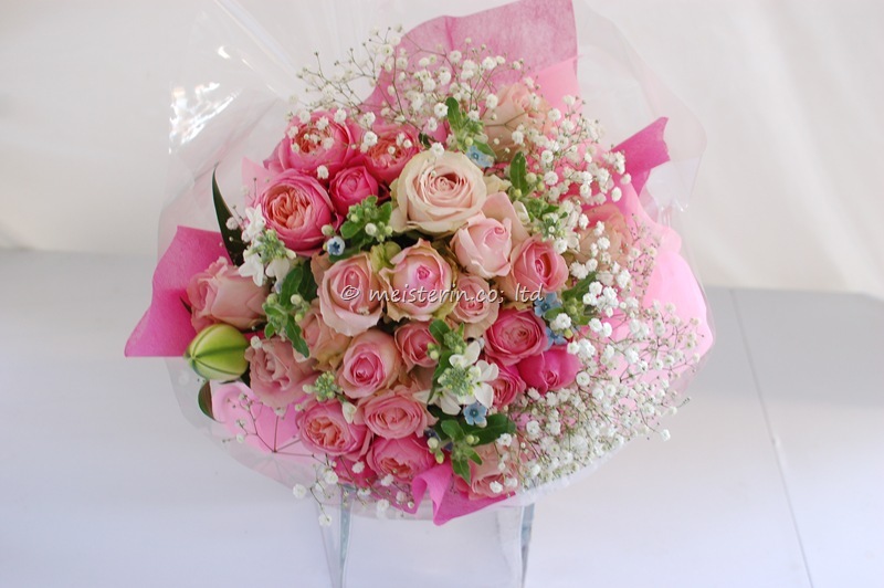 クリスマスフラワーピンク