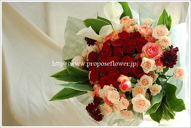 薔薇の花束プロポーズ