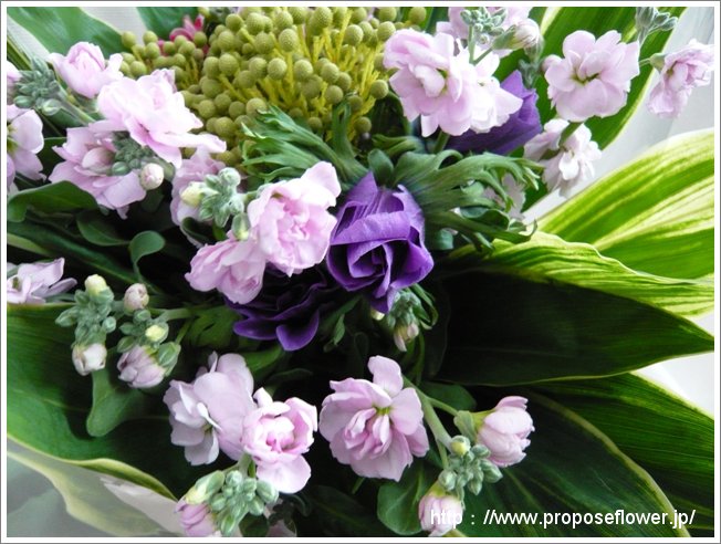 紫の花束 アネモネ ドイツマイスターの花束専門店 プロポーズフラワーショップ