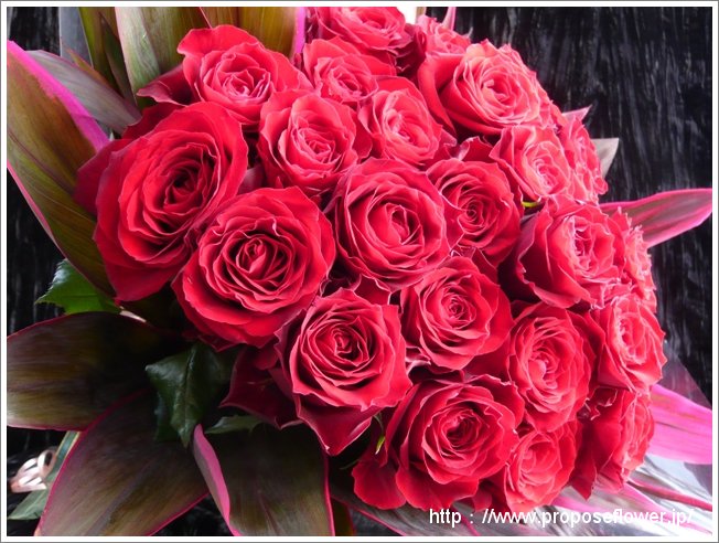 平成最後に王道のプロポーズバラの花束 ドイツマイスターの花束専門店 プロポーズフラワーショップ