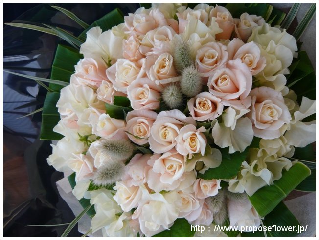かわいい花束 癒しピンクの花束を贈る ドイツマイスターの花束専門店 プロポーズフラワーショップ
