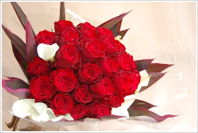 赤いバラ花束プロポーズ