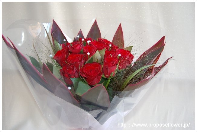 プロポーズ 赤い薔薇 花束