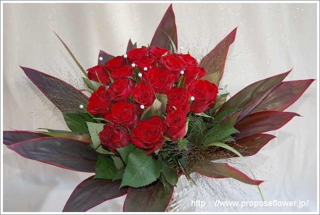 プロポーズ 赤薔薇 花束