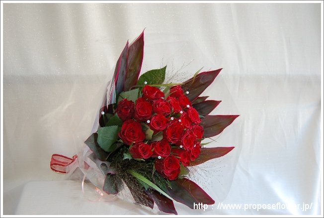 赤い薔薇 プロポーズ