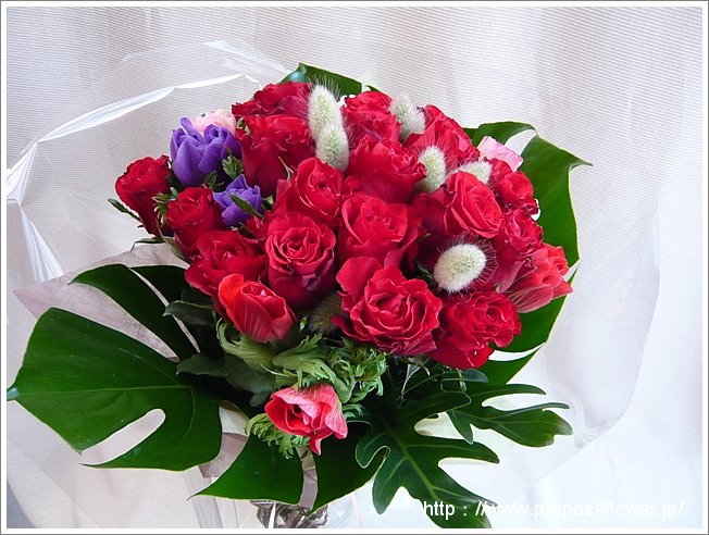 赤い薔薇とアネモネの花束 ドイツマイスターの花束専門店 プロポーズフラワーショップ