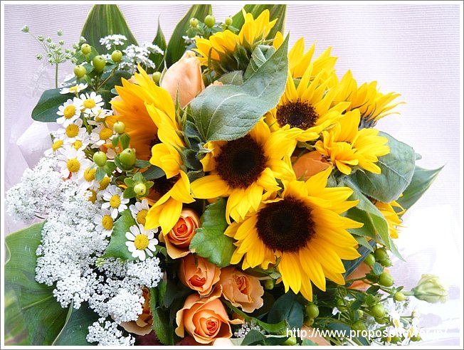 向日葵とマトリカリアの花束 ドイツマイスターの花束専門店 プロポーズフラワーショップ