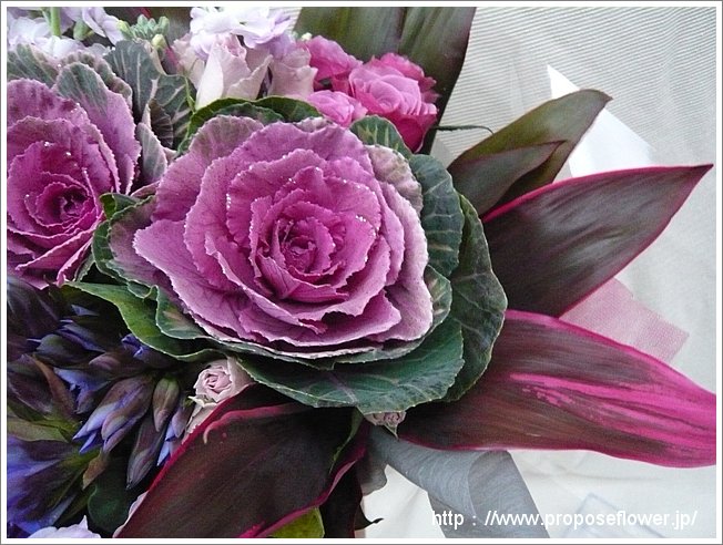 お正月花束 ハボタン ドイツマイスターの花束専門店 プロポーズフラワーショップ