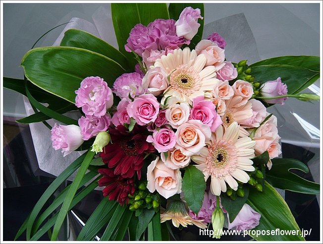 ガーベラの花束プレゼント ドイツマイスターの花束専門店 プロポーズフラワーショップ