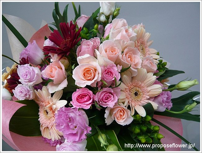 ガーベラの花束プレゼント ドイツマイスターの花束専門店 プロポーズフラワーショップ