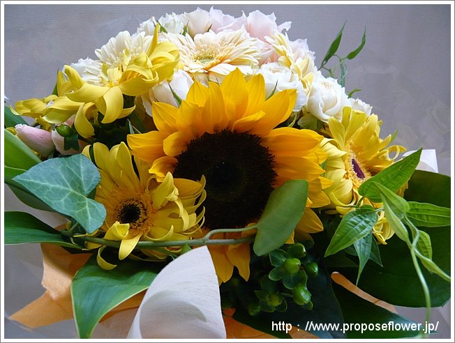 向日葵みたいなガーベラの花束 ドイツマイスターの花束専門店 プロポーズフラワーショップ
