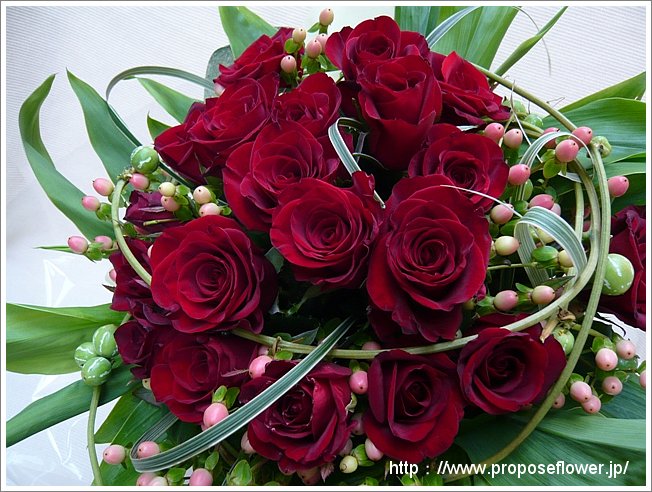 赤い薔薇 ヒペリカム カラスウリ ドイツマイスターの花束専門店 プロポーズフラワーショップ