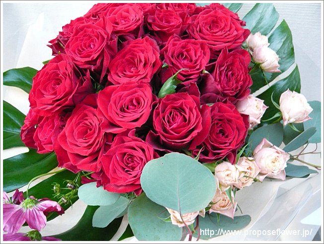 コスモスと赤いバラの花束　
