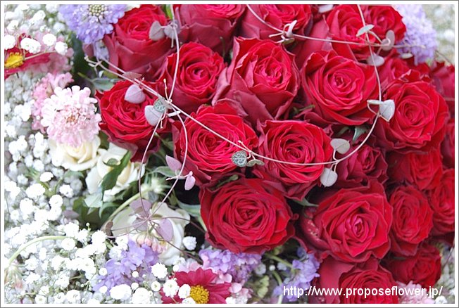 かすみ草と赤いバラのプロポーズ ドイツマイスターの花束専門店 プロポーズフラワーショップ