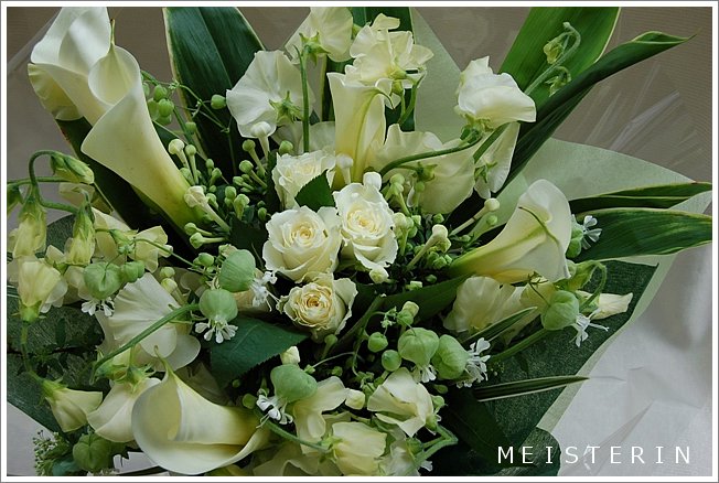 カラーの花束 白 ドイツマイスターの花束専門店 プロポーズフラワーショップ