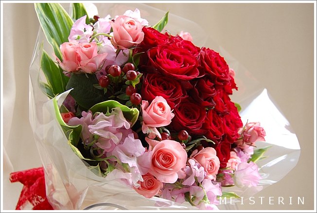 赤いバラ ピンクのバラ ヒペリカム ドイツマイスターの花束専門店 プロポーズフラワーショップ