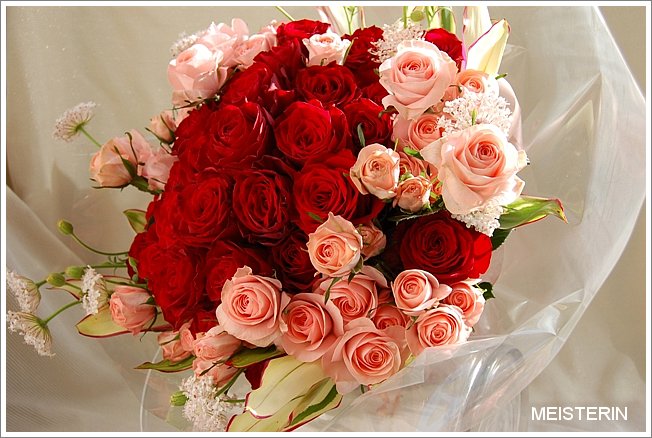 エレガントな赤いバラの花束 ドイツマイスターの花束専門店 プロポーズフラワーショップ