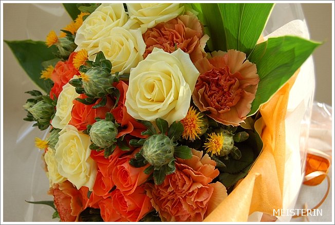 レモンイエローの薔薇の花束 ドイツマイスターの花束専門店 プロポーズフラワーショップ
