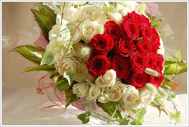 人気の花束 赤と白の薔薇 ドイツマイスターの花束専門店 プロポーズフラワーショップ
