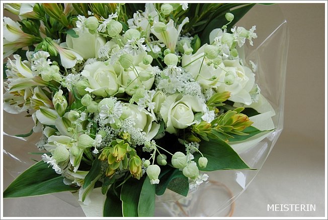 清楚な白の花束 ドイツマイスターの花束専門店 プロポーズフラワーショップ