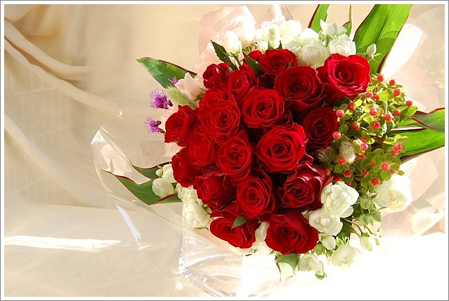 赤いバラ かわいい花束 ドイツマイスターの花束専門店 プロポーズフラワーショップ
