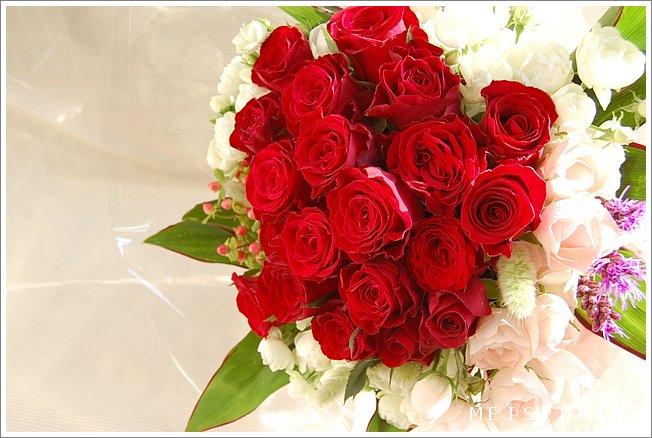 赤いバラ かわいい花束 ドイツマイスターの花束専門店 プロポーズフラワーショップ