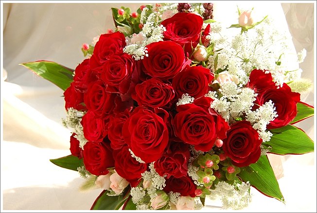ホワイトレースフラワー 赤いバラの花束 ドイツマイスターの花束専門店 プロポーズフラワーショップ
